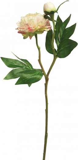 Pioenroos Princess 46 cm creme/roze kunstbloem