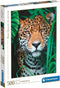 Clementoni - Puzzel - 500 Stukjes - Jaguar in de Jungle - Puzzel Voor Volwassenen - High Quality Collection