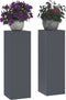vidaXL - Buiten - Plantenstandaarden - Pilaren - 2 - stuks - Anthraciet - 24x24x75 - cm - Staal