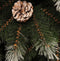 Pittsburgh met Dennenappels - Groen - Triumph Tree kunstkerstboom