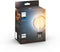 Philips Hue - G93 Filament Globe - White Ambiance - E27 (1x)