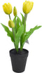 Driesprong collection - Tulp in Pot 30,5cm Geel