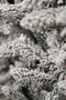 Black Box Trees Snowdon - Kunstkerstboom - H185 x Ø117 cm - Groen Frosted