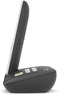 Gigaset E390A - DECT-telefoon - Grote toetsen met antwoordapparaat (30 minuten) - Zwart