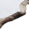 vidaXL - Schapenvacht - 70x100 - cm - gemengde - kleur