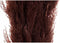 Decoratieve plant DKD Home Decor Beige Bordeaux (7 x 7 x 120 cm) (2 Stuks)