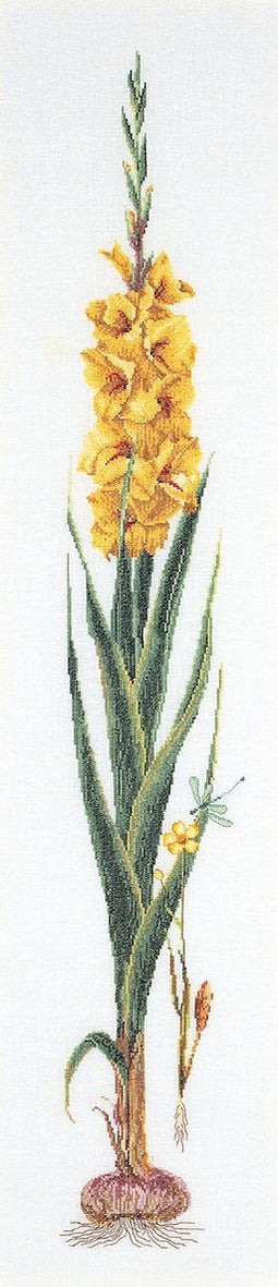 Thea Gouverneur - Borduurpakket met telpatroon - 3072A - Voorgesorteerde DMC Garens - Gele Gladiolen - Aida - 20 cm x 88 cm - DIY Kit
