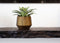 Capi Europe - Vaas cilinder geo Groove Black & Gold - 19x16 - Zwart - Opening Ø15 - Bloempot voor binnen - 5 jaar garantie - BGVBL334
