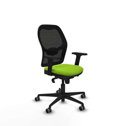 Piqueras y Crespo 2D036G0 - Gaming stoel - Hoogteverstelbaar - Pistache