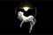 Plafondlamp DKD Home Decor Gouden Wit 220 V 50 W (29,5 x 20 x 44,5 cm) (2 Stuks)