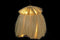 Plafondlamp DKD Home Decor Natuurlijk Metaal 40 W Jute (45 x 45 x 55 cm)