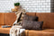 Plaid 150x125 cm APISI bruin wit