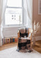 Plaid Neutraal Geblokt (Neutral Block Check) - 150x200 - Lamswol - TBCo Scotland