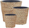 PLAKA - Bloempot set van 3 - Natuurlijk - Waterhyacinth
