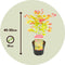 Plant in a Box - Acer palmatum 'Moonrise' - Set van 2 - Japanse esdoorn Winterhard - Pot 19cm - Hoogte 40-50cm