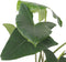 Plant in a Box - Alocasia Zebrina - Grote luchtzuiverende kamerplant - Pot 32cm - Hoogte 140-150cm