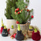 Plant in a Box - Amaryllis - Hippeastrum 'Cozy Teddy Red' - Bloembol - Rode bloemen