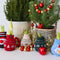 Plant in a Box - Amaryllis - Hippeastrum 'Santa Sweater' - Bloembol - Rode bloemen