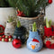 Plant in a Box - Amaryllis - Hippeastrum 'Snowman Sweater' - Bloembol - Rode bloemen