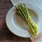 Plant in a Box - Asparagus Gijnlim - Set van 3 - Groene Asperge - Wortelstokken
