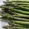 Plant in a Box - Asparagus Gijnlim - Set van 3 - Groene Asperge - Wortelstokken