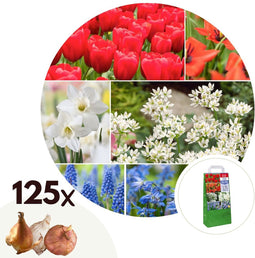 Plant in a Box - Bloembollen uit Nederland - Bloembollen x125 - Vrolijke Bloembollenmix - Tulp - Narcis - Scilla - Allium