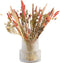Plant in a Box - Blooms Magic of Nature - Gedroogde Bloemen - Natuurlijk Gedroogd Bloemenboeket