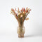 Plant in a Box - Blooms Magic of Nature - Gedroogde Bloemen - Natuurlijk Gedroogd Bloemenboeket
