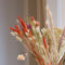 Plant in a Box - Blooms Magic of Nature - Gedroogde Bloemen - Natuurlijk Gedroogd Bloemenboeket