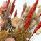 Plant in a Box - Blooms Magic of Nature - Gedroogde Bloemen - Natuurlijk Gedroogd Bloemenboeket