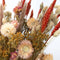Plant in a Box - Blooms Magic of Nature - Gedroogde Bloemen - Natuurlijk Gedroogd Bloemenboeket