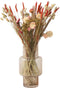Plant in a Box - Blooms Magic of Nature - Gedroogde Bloemen - Natuurlijk Gedroogd Bloemenboeket