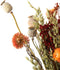 Plant in a Box - Boeket 'Marokkaanse Nachten' - Droogbloemen - Helichrysum, Bezembloei, Papaver - hoogte 50 cm