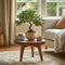 Plant in a Box - Bonsai 'Zelkova' - S-vormig - Hoogte 20-30cm - Potmaat 15cm