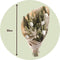 Plant in a Box - Bouquet Large Bodhi - Droogbloemen Boeket 55cm