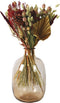 Plant in a Box - Bouquet Large Classic Red - boeket droogbloemen - Rood - 50 cm