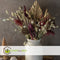 Plant in a Box - Bouquet Large Classic Red - boeket droogbloemen - Rood - 50 cm