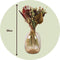 Plant in a Box - Bouquet Large Classic Red - boeket droogbloemen - Rood - 50 cm