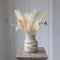 Plant in a Box - Bouquet Scandinavian Dream - Droogbloemen Boeket 60cm