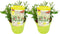 Plant in a Box - Buddleja Candy Little White - Buddleja davidii - Vlinderstruik Winterhard - Witte Bloemen - Pot 19cm - Hoogte 30-40cm