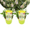 Plant in a Box - Buddleja Candy Little White - Buddleja davidii - Vlinderstruik Winterhard - Witte Bloemen - Pot 19cm - Hoogte 30-40cm