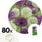 Plant in a Box - Bulb Garden Allium - 80x Bollen - 5 Variëteiten - Sierui - Bloembollen voor Tuin, Terras of Balkon