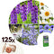Plant in a Box - Bulb Garden Blue - Bollenmix - 125 stuks - Mix van verschillende bollen - Dahlia's, Gladiolen, Freesia, Oxalis - Plant uw zomertuin in het voorjaar!