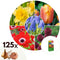 Plant in a Box - Bulb Garden Colourful - Bloembollen x125 - Vrolijke Bloembollenmix - Tulp - Anemoon - Allium - Muscari