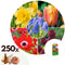 Plant in a Box - Bulb Garden Colourful - Bloembollen x250 - Vrolijke Bloembollenmix - Tulp - Anemoon - Allium - Muscari