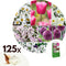Plant in a Box - Bulb Garden Pink - 125x Bollen Mix - Narcis, Allium, Krokus, Tulp - Bloembollen voor Tuin, Terras of Balkon