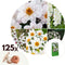 Plant in a Box - Bulb Garden White - Bollenmix - 125 stuks - Mix van verschillende bollen - Dahlia's, Gladiolen, Freesia, Oxalis - Plant uw zomertuin in het voorjaar!