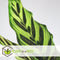 Plant in a Box - Calathea, Philodendron, Strelitzia - Mix van 3 - Green indoor mix - Groene kamerplanten - Pot 12cm - Hoogte 25-40cm