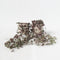 Plant in a Box - Ceropegia Woodii - Set van 2 Chinese Lantaarnplantjes - Pot 14cm - Hoogte 20-30cm