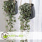 Plant in a Box - Ceropegia Woodii - Set van 2 Chinese Lantaarnplantjes - Pot 14cm - Hoogte 20-30cm